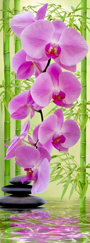 Стебли бамбука и орхидея 6156-М