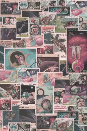 Cosmos stamp pink 24-221