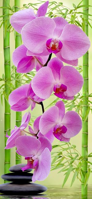 Орхидея 6499-М