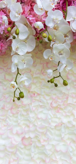Белые и розовые орхидеи 6500-М